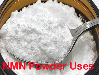 What Is Nicotinamide Mononucleotide Used For?